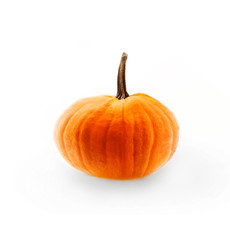 Fresh ripe pumpkin isolated on white background