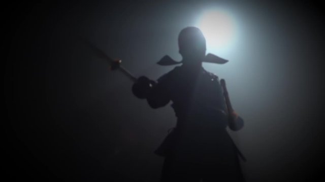 Silhouette kendo guru is practicing martial art with Katana shinais. Slow motion.
