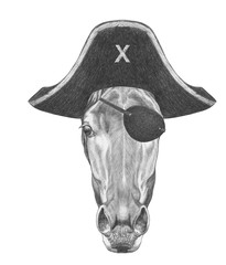 Portrait of Horse with pirate hat and eye patch. Hand-drawn illustration. © Victoria Novak