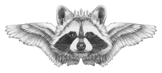 Portrait of Raccoon with wings. Hand-drawn illustration.  © Victoria Novak