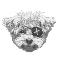 Portrait of Maltese Poodle with diadem and eye patch. Hand-drawn illustration.