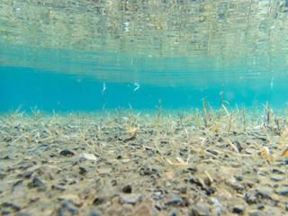 Obraz premium 本栖湖
