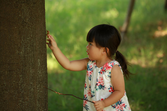 蝉取り のストック写真 ロイヤリティフリーの画像 ベクター イラスト Adobe Stock