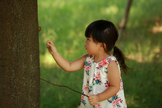 350 件の最適な 蝉取り 画像 ストック写真 ベクター Adobe Stock