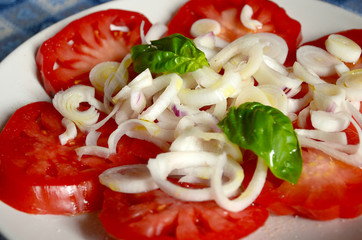 salad with tomato, onions and basil