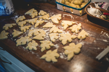 Baking Gingerbread cookies