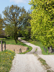 Gravel country road.