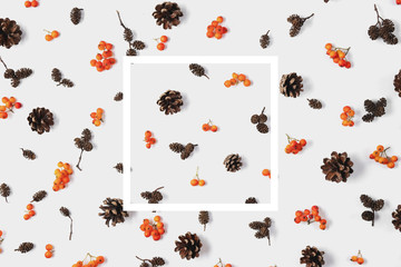 Autumn composition. Pattern made of berry rowan, white frame, cones on pastel gray background. Autumn, fall, thanksgiving day concept. Creative Flat lay, top view, copy space