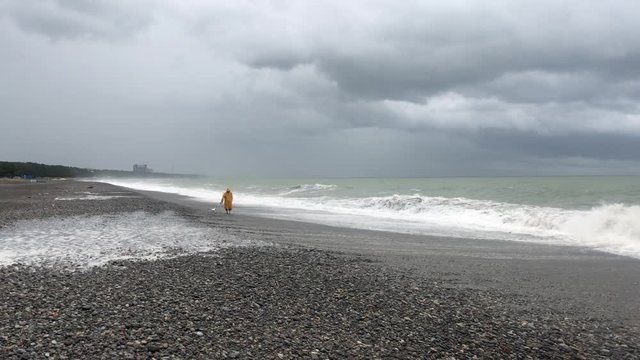 Man with a metal detector on the beach during a storm. A man is looking for jewelry on the beach. Storm clouds and large sea waves during a storm warning on the coast.