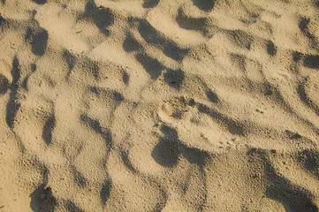 background texture dry sand on the beach