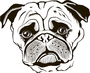 pug muzzle, vector illustration, black, isolated, monogram, graphic, stencil