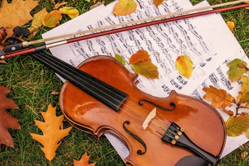 Fototapeta na wymiar Violin, bow and notes on the background of autumn leaves and grass