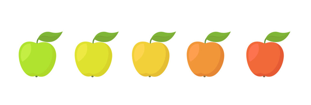 Apple Fruit Ripeness Stages Chart. Colour Gradation Set Plant. From Green To Red Gradient. Animation Period Progression.