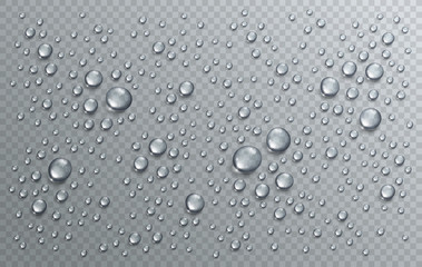 Water rain drops or condensation in shower realistic transparent 3d vector composition over transparency checker grid, easy to put over any background or use droplets separately. - obrazy, fototapety, plakaty