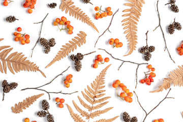 Autumn composition. Pattern made of berry rowan, dried fern leaves, cones on white background. Autumn, fall, thanksgiving day concept. Creative Flat lay, top view, copy space