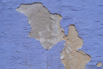 Wall
