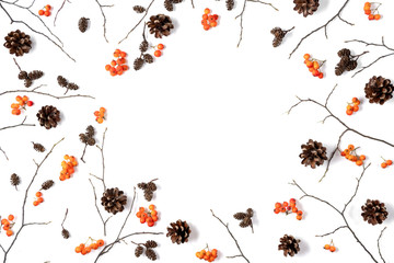 Autumn composition. Pattern made of berry rowan, cones on white background. Autumn, fall, halloween, thanksgiving day concept. Flat lay, top view, copy space