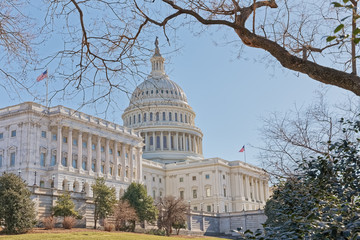 United States Capitol building in Washington DC