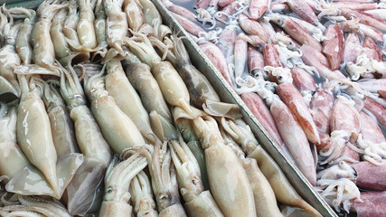 squid seafood market fresh frozen