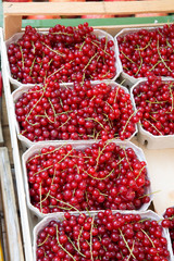 Redcurrant Fruit on Market