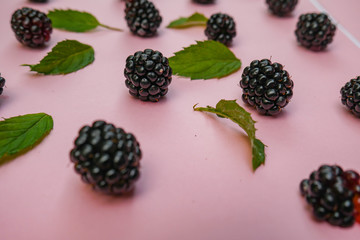 Blackberry and green leaves on a pink background. 