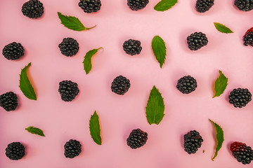 blackberry and green leaves on a pink background. Top view