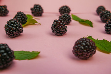 Blackberry and green leaves on a pink background. 