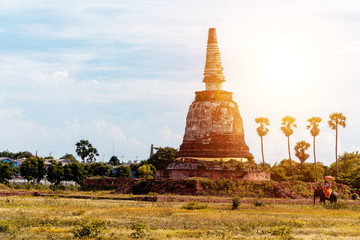 Pagoda at Ayutthaya province Thailand.
