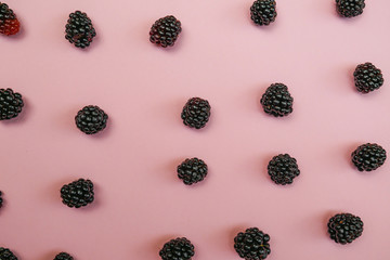 blackberry on a pink background. Top view