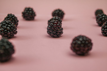 Fresh blackberry on a pink background. 