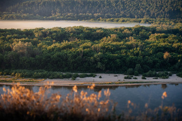 landscape with river and trees