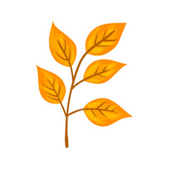 Colorful autumn tree leaf. Vector illustration.