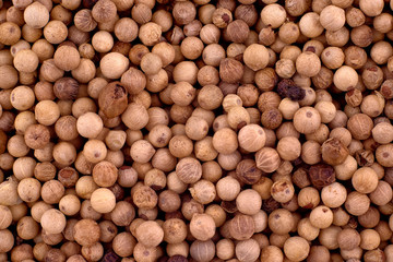 White pepper peas background texture, copy space, close up. Top view, flat lay