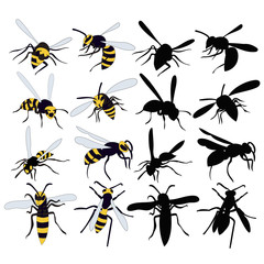 wasp, bee, insect, set, collection