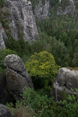 Sächsische Schweiz