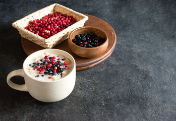 Granola with wild berries, lingonberries and blueberries. Mug breakfast.