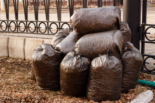 pile of black plastic garbage bags