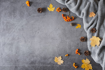 Autumn composition. Sweater, cones, berry rowan and autumn leaves maple on dark concrete background. Autumn, winter concept. Flat lay, top view, copy space