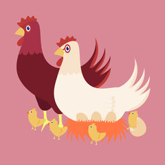 vector chicken family