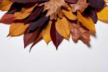 Autumn composition made of dried yellow and red leaves on white background. Fall concept. Autumn thanksgiving texture. Flat lay, top view, copy space