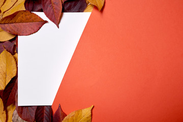 Autumn composition. Frame made of leaves, blank paper and orange background. Fall concept. Autumn thanksgiving texture. Flat lay, top view, copy space