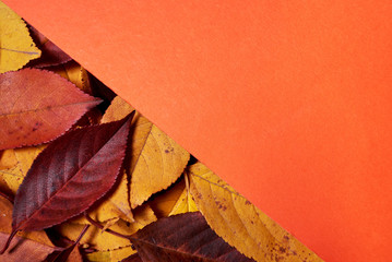 Autumn composition. Frame made of leaves and orange paper background. Fall concept. Autumn thanksgiving texture. Flat lay, top view, copy space
