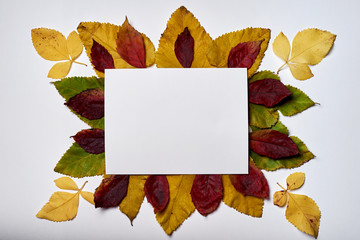 Autumn composition. Frame made of blank paper and autumn leaves on white background. Fall concept. Autumn thanksgiving texture. Flat lay, top view, copy space