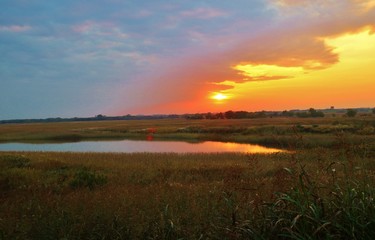 風景　夕方　渡良瀬　秋　杤木