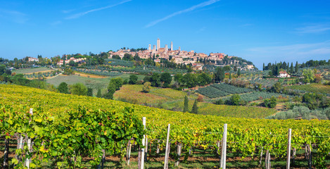 San Gimignano and vineyards around this Italian beautiful city (UNESCO heritage), Italy