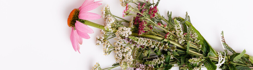 Echinacea, Yarrow, medicinal herbs background, flat lay, top view