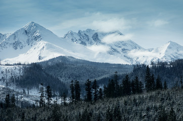 Snow-capped mountains in Poland.