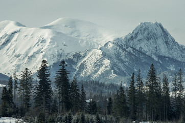 Snow-capped and forest in the Tatra mountains in Poland.