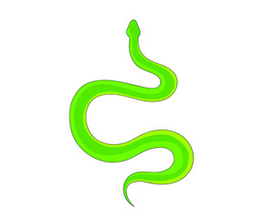 Fototapeta premium Snake Isolated on White Background, Great for book education, tattoo, sticker and design element! 