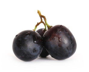 Fresh dark, black grapes isolated on white background